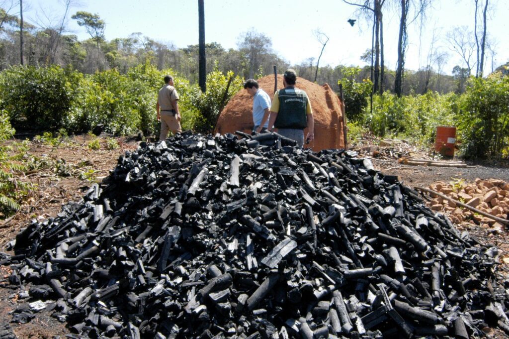 28-de-janeiro-e-o-dia-nacional-de-combate-ao-trabalho-escravo-fiscais-do-ministerio-do-trabalho-e-agentes-da-policia-federal-em-carvoaria-clandestina-locais-onde-mais-ocorrem-situacoes-de-trabalho-analogas-a-escravidao-foto-marco-evangelista-agencia-minas-tvt-news