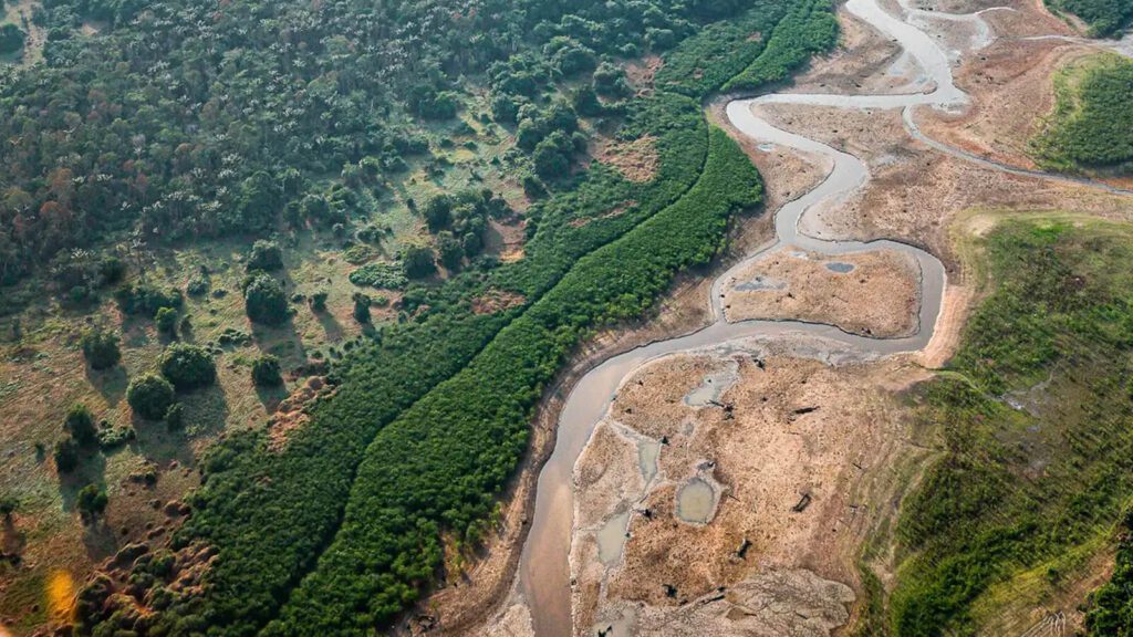 pesquisa-com-bacterias-na-amazonia-pode-desenvolver-novos-medicamentos-estudo-e-uma-parceria-da-universidade-federal-do-para-ufpa-com-o-centro-nacional-de-pesquisa-em-energia-e-materiais-cnpem-ricardo-stuckert-pr-tvt-news