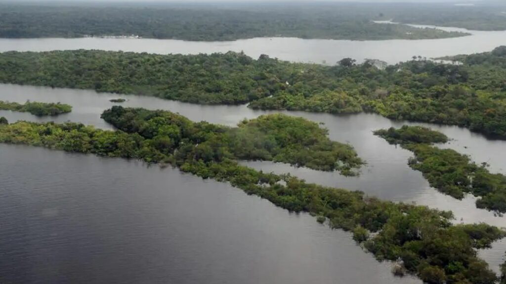 amazonia-menor-desmatamento-foto-ebc-tvt-news