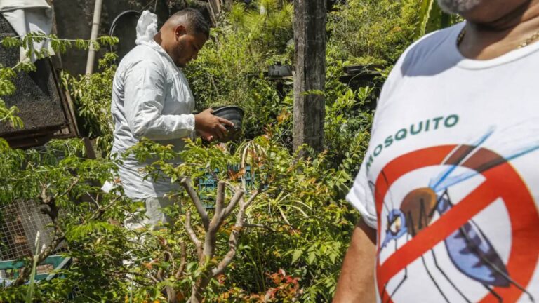 dengue--sp--mg-e-pr-concentram-73-porcento-dos-casos-e-86-porcento-dos-obitos--letalidade-em-sao-paulo-e-maior-do-que-a-media-nacional--foto-paulo-pinto-abr-tvt-news