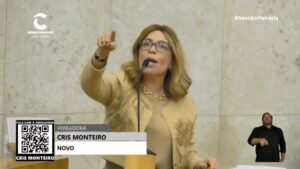 vereadora-racista-camara-sp-mulher-branca-rica-proposta-de-reajuste-de-5-15-foi-aprovada-na-tumultuada-sessao-foto-youtube-reproducao