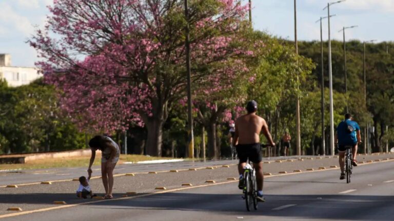 TVTNews 5 dois-tercos-dos-brasileiros-moram-em-ruas-arborizadas-mato-grosso-do-sul-e-o-unico-estado-com-percentual-acima-de-90-foto-fabio-rodrigues-pozzebom-abr-tvt-news