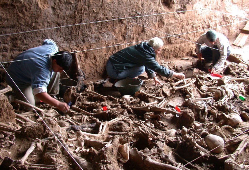 Vereadora aciona TCM e MP contra concessionárias de cemitérios 2 vitimas-ditadura-identificadas-vala-de-perus-1049-pessoas-foram-enterradas-clandestinamente-no-cemiterio-dom-bosco-em-perus-foto-comissao-da-verdade-do-estado-de-sao-paulo
