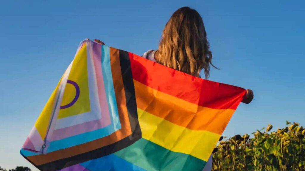governo-lanca-site-da-conferencia-dos-direitos-das-pessoas-lgbtqia+-pagina-reune-os-quatro-eixos-tematicos-do-encontro-foto-conflgbtqia-org-divulgacao-tvt-news