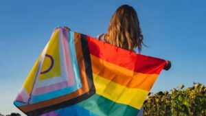 governo-lanca-site-da-conferencia-dos-direitos-das-pessoas-lgbtqia+-pagina-reune-os-quatro-eixos-tematicos-do-encontro-foto-conflgbtqia-org-divulgacao-tvt-news
