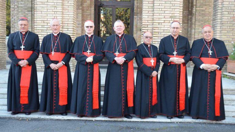 papa-leao-xiv-nao-sera-uma-repeticao-de-outro-papa-diz-dom-leonardo-steiner-os-cardeais-presentes-na-coletiva-de-imprensa-dom-orani-tempesta-tvt-news