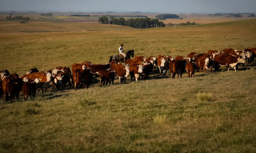 pib-cresce-1-4-no-1-trimestre-em-relacao-ao-trimestre-anterior-foto-agropecuaria-tvt-news