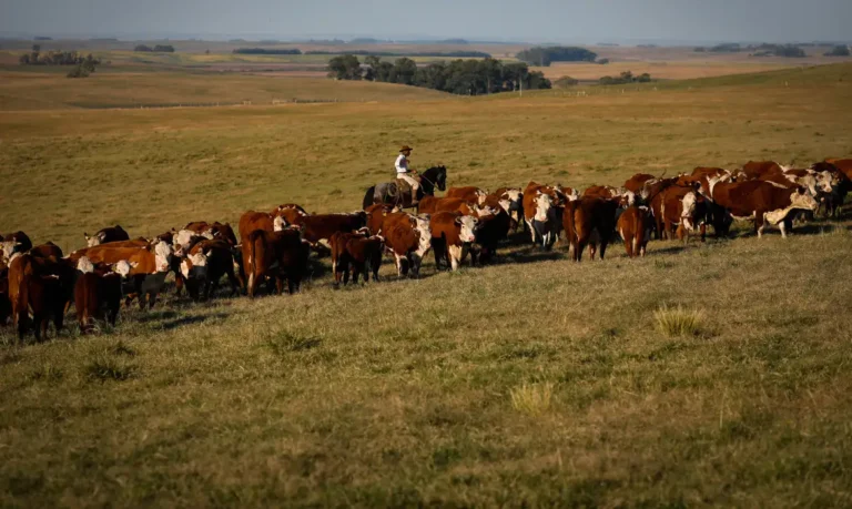 pib-cresce-1-4-no-1-trimestre-em-relacao-ao-trimestre-anterior-foto-agropecuaria-tvt-news