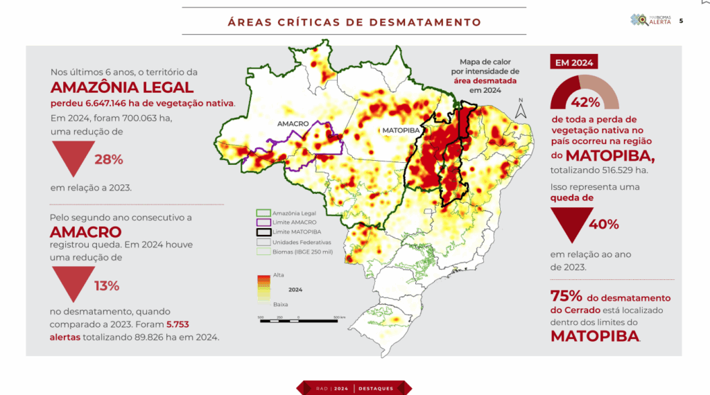 Desmatamento cai 32,4%; Cerrado é o bioma com maior área desmatada 2 desmatamento-cai-324-cerrado-e-o-bioma-maior-area-desmatada-maranhao-tocantins-piaui-e-bahia-representam-4-dos-cinco-estados-mais-desmatados-em-2024-imagem-mapbiomas-reproducao-tvt-news