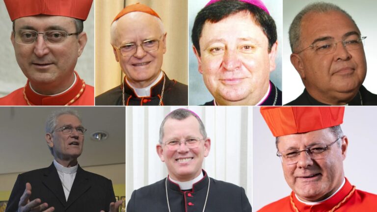 papa-do-brasil-quem-sao-os-cardeais-brasileiros-no-conclave-sete-brasileiros-estao-no-conclave-e-vao-eleger-o-novo-papa-arte-de-rebeca-de-avila-com-imagem-da-wikimedia-commons-tvt-news