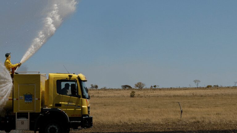 desmatamento-cai-324-cerrado-e-o-bioma-maior-area-desmatada-cerrado-e-naturalmente-seco-porem-com-o-desmatamento-o-clima-seco-e-a-estiagem-tem-sido-mais-intensa-foto-joedson-alves-agencia-brasil-tvt-news