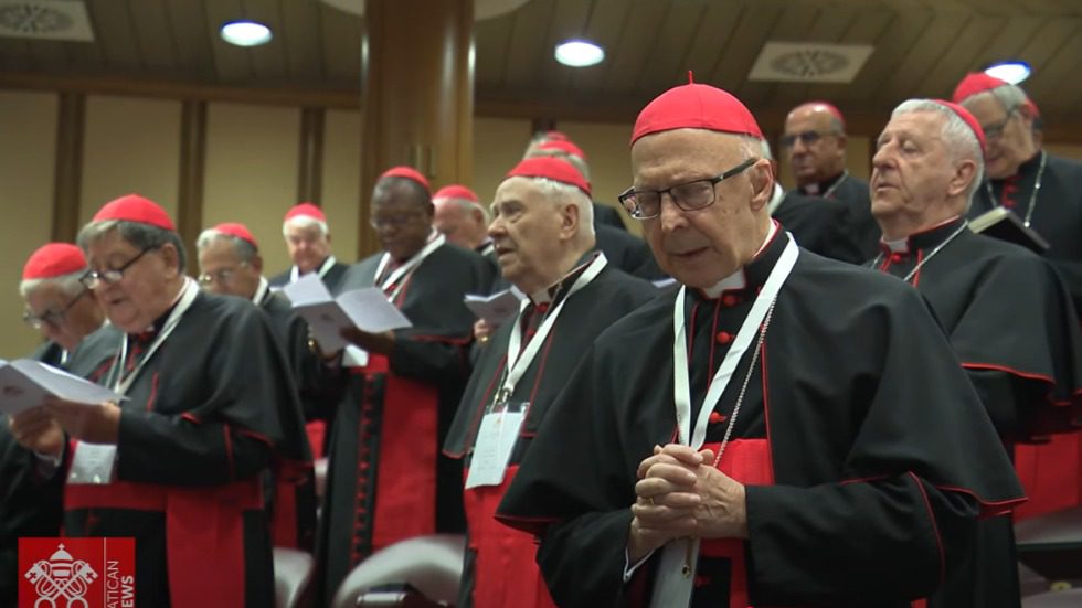 Cardeais definem qualidades do novo Papa na última reunião antes do conclave 2 cardeais-definem-qualidades-do-novo-papa-na-ultima-reuniao-antes-do-conclave-cardeais-pensam-em-perfil-do-novo-papa-que-siga-as-reformas-de-francisco-imagem-vatican-news-tvt-news