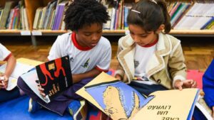 dia-da-literatura-brasileira-foto-isabelle-araujo-mec-tvt-news