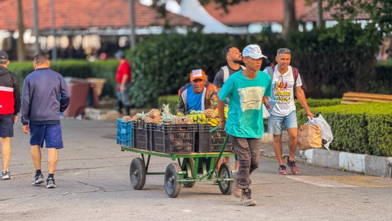 Começa a 5ª Feira Nacional da Reforma Agrária nesta quinta em São Paulo 1 Feira Nacional da Reforma Agrária