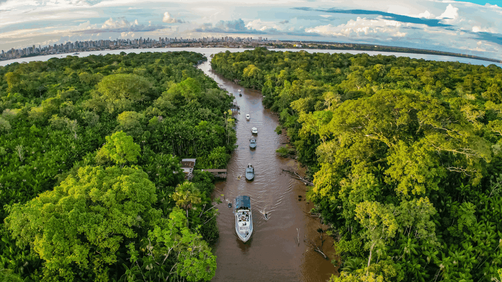 cop-30-para-foi-o-estado-com-maior-desmatamento-do-brasil-de-2019-a-2024-para-sera-sede-da-cop-30-foto-ricardo-stuckert-pr-tvt-news