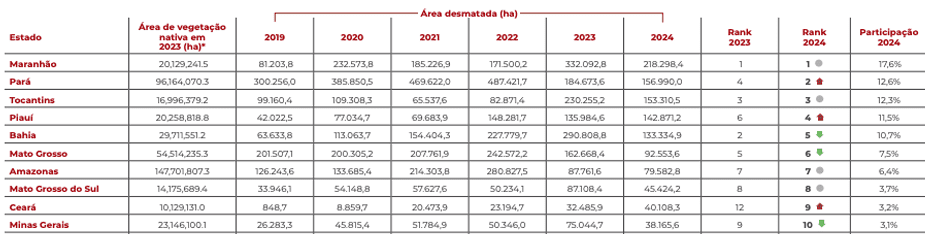 COP 30: Pará foi o estado com maior desmatamento do Brasil de 2019 a 2024 1