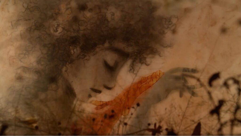 curta-safo-premiado-maior-festival-animacao-mundo-bndes-planta-filmes-reproducao-tvt-news