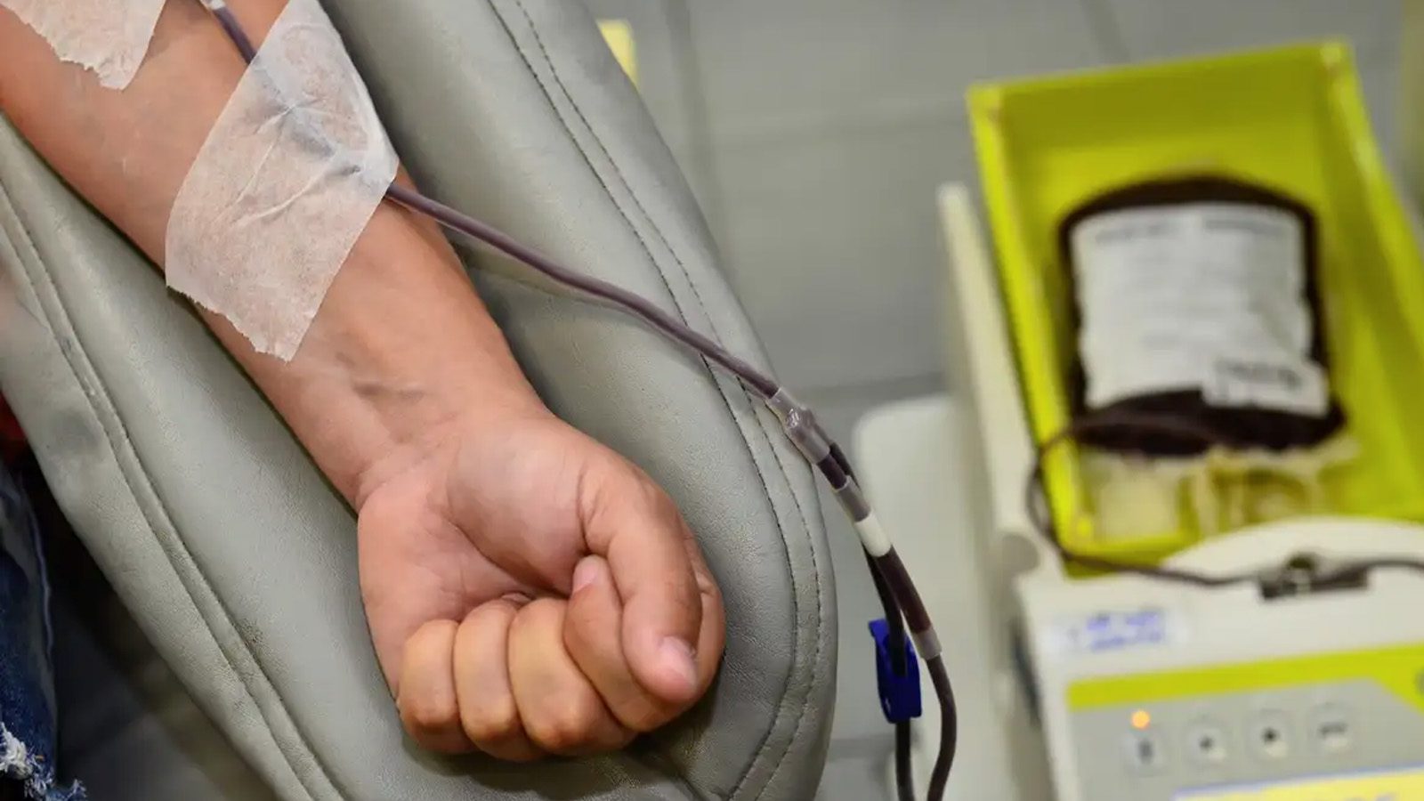 Dia Mundial do Doador de Sangue: Banco de Sangue reforça urgência da doação