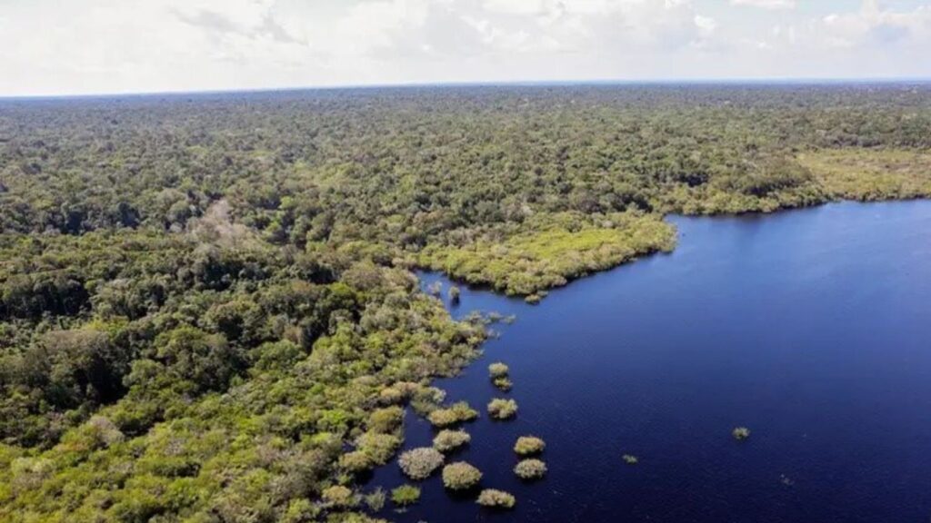 dia-mundial-meio-ambiente-midr-reforca-compromisso-sofre-impactos-crise-climatica-comite-prioriza-protecao-comunidades-vulneraveis-prepara-brasil-liderar-cop30-agencia-brasil-tvt-news