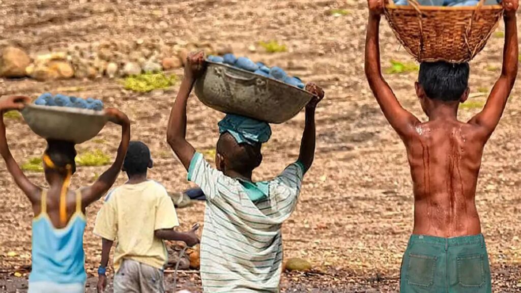 mais-de-6-mil-criancas-sao-resgatadas-do-trabalho-infantil-em-2-anos-registros-apontam-tendencia-de-aumento-do-trabalho-infantil-foto-trt-divulgacao-tvt-news