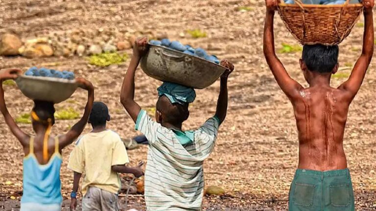 mais-de-6-mil-criancas-sao-resgatadas-do-trabalho-infantil-em-2-anos-registros-apontam-tendencia-de-aumento-do-trabalho-infantil-foto-trt-divulgacao-tvt-news