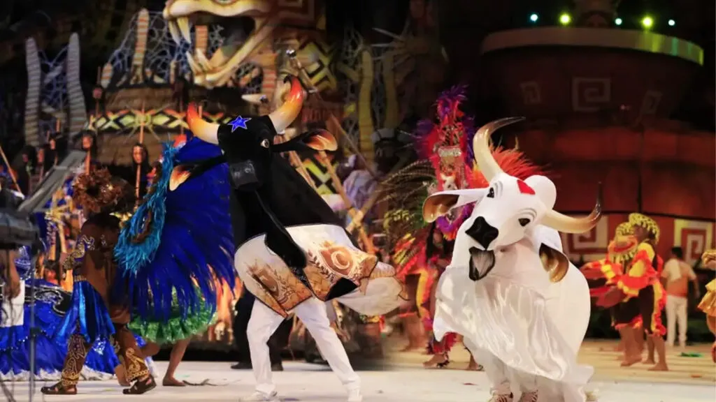 Começa o Festival de Parintins 2025 1 boi-caprichoso-garantido-festival-de-parintins-secretaria-cultura-amazonas-divulgacao-tvt-news