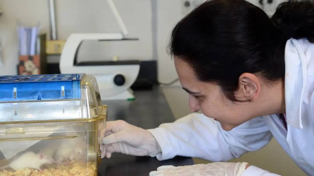tecidos-feitos-em-laboratorio-podem-aperfeicoar-testes-de-medicamentos--modelo-da-gcell-simula-tecido-humano--foto-rovena-rosa-agencia-brasil-tvt-news