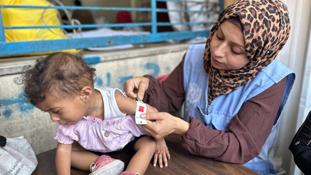 em-um-mes-numero-de-mortos-buscando-alimentos-em-gaza-chega-a-516-pessoas-tem-sido-mortas-quase-diariamente-enquanto-tentam-obter-comida-foto-unrwa-tvt-news