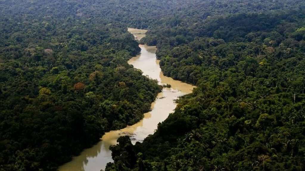 fundo-amazonia-aprova-1-bilhao-e-bate-recorde-o-fundo-viabiliza-apoio-a-projetos-para-conservacao-e-uso-sustentavel-das-florestas-na-amazonia-legal-foto-icmbio-tvt-news