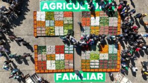TVTNews 24 plano-safra-custo-alimentos-foto-ricardo-stuckert-pr-tvt-news