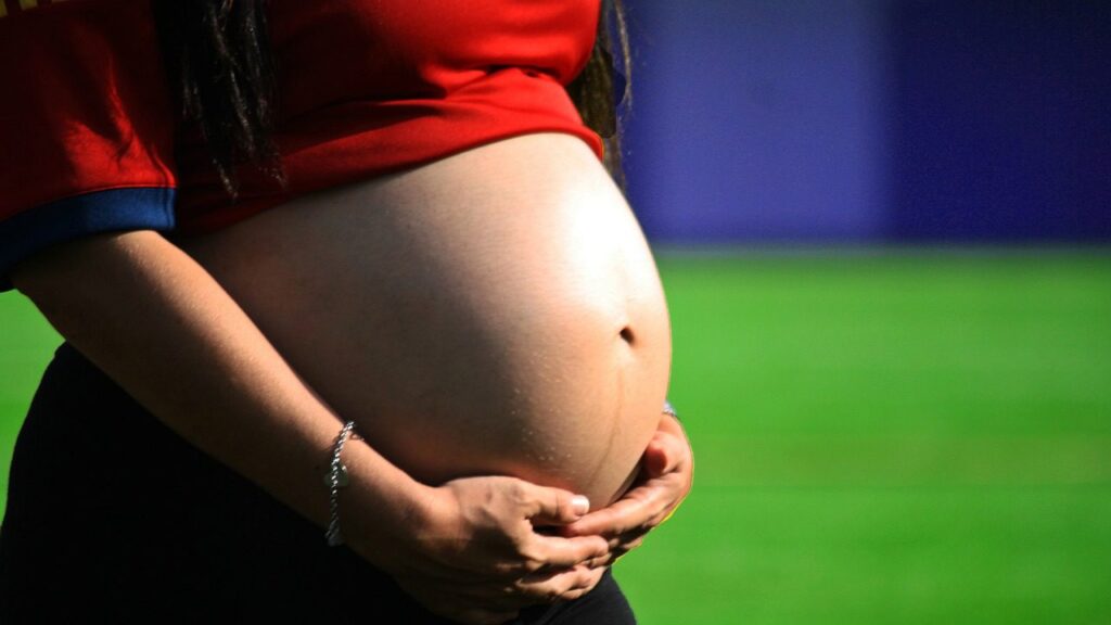 brasileiras-menos-filhos-adiam-maternidade-censo-tvt-news