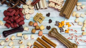 mexico-abre-mercados-para-produtos-brasileiros-para-alimentacao-animal-mexico-e-o-segundo-maior-mercado-para-produtos-pet-da-regiao-foto-divulgacao-tvt-news