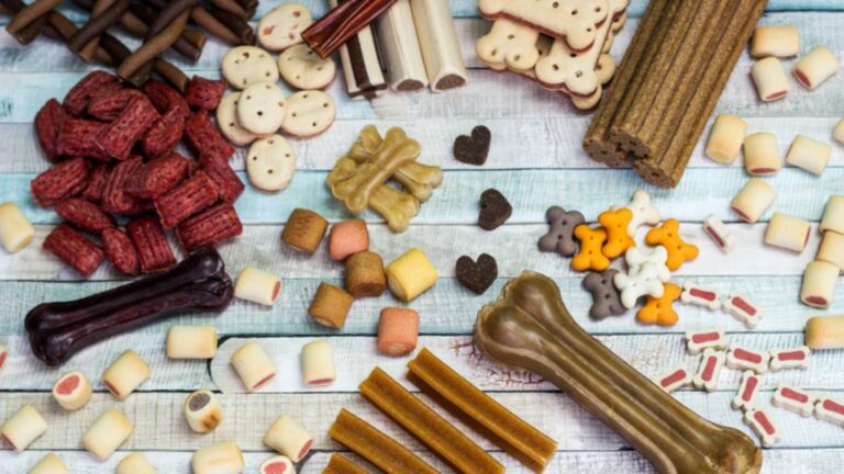 mexico-abre-mercados-para-produtos-brasileiros-para-alimentacao-animal-mexico-e-o-segundo-maior-mercado-para-produtos-pet-da-regiao-foto-divulgacao-tvt-news