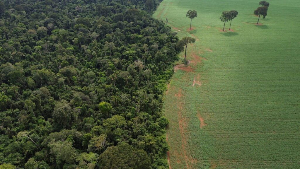recursos-da-terra-para-2025-ja-acabaram-vista-aerea-do-encontro-da-floresta-amazonica-com-lavouras-de-milho-e-soja-na-margem-da-terra-indigena-erikpatsa-onde-vive-o-povo-rikbaktsa-foto-fernando-frazao-agencia-brasil-tvt-news