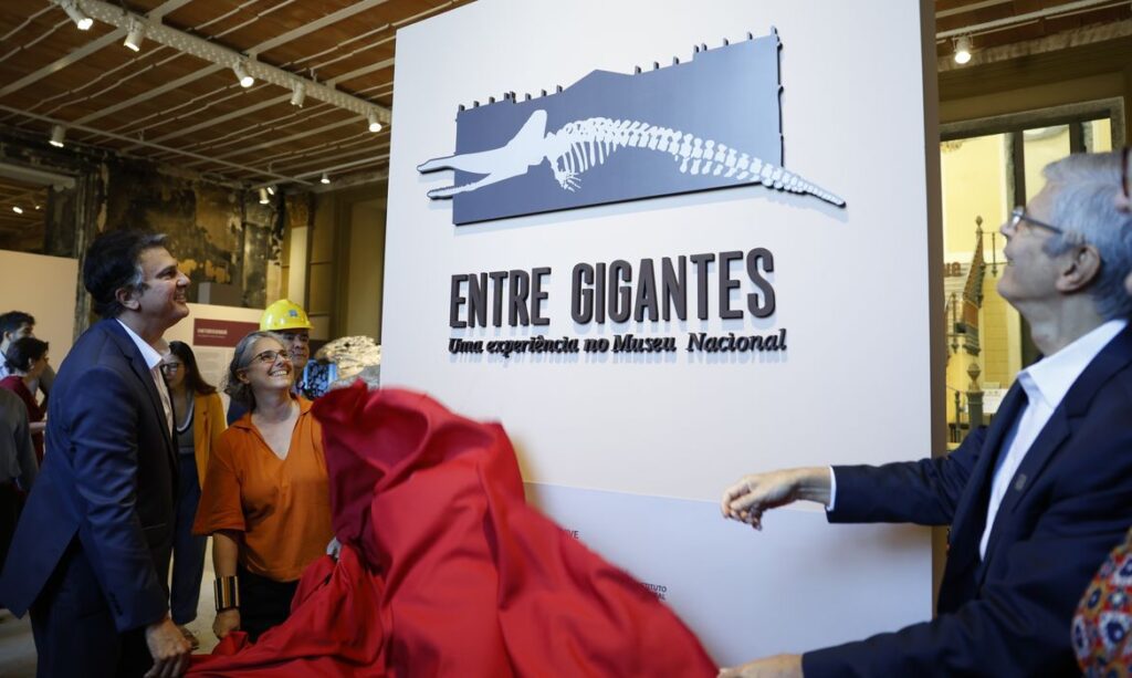 Museu Nacional reabre sete anos após incêndio. Veja fotos 6 Até momento, já foram concluídas as restaurações de 75% das fachadas e 80% dos telhados do Museu Nacional. Foto: Fernando Frazão/ABr