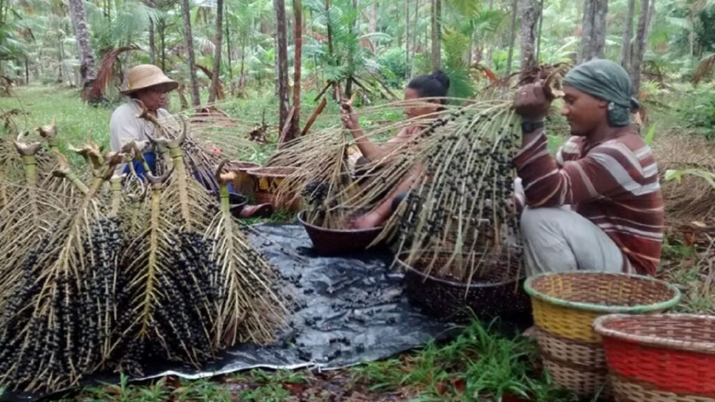 11-milhoes-vivem-unidades-de-conservacao-foto-ibge-tvt-news