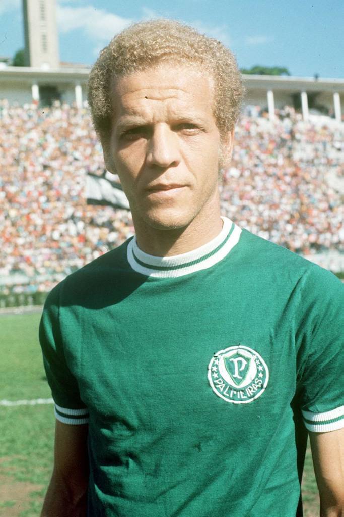 Alviverde imponente: os 111 anos do Palmeiras 6 alviverde-imponente:-os-111-anos-do-palmeiras-tvt-news