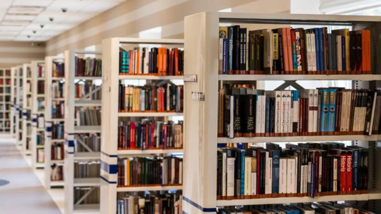 pesquisa-revela-habitos-de-leitura-de-moradores-da-periferia-de-sp-levantamento-mostra-interesse-em-mangas-literatura-negra-lgbtqiapn-e-indigena-foto-jarmoluk-pixabay-tvt-news