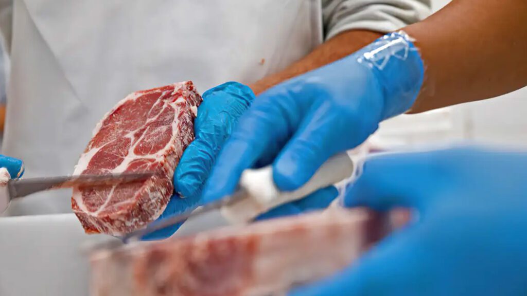 brasil-vai-exportar-carne-bovina-indonesia-mapa-agencia-brasil-tvt-news