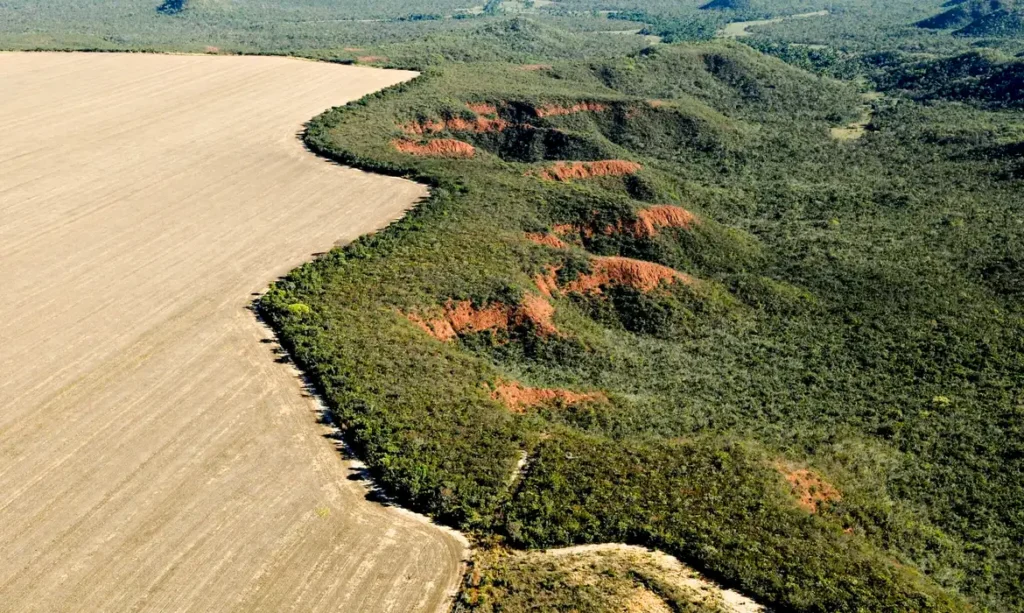 PL da Devastação: com vetos, governo garante proteção ambiental e segurança jurídica 1 pl-da-devastacao-lula-deve-vetar-trecho-o-pl-da-devastacao-enfraquece-o-licenciamento-ambiental-foto-wwf-brasil-tvt-news
