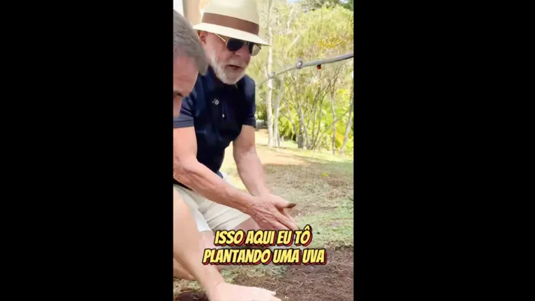 lula-envia-video-a-trump-semear-comida-e-nao-o-odio-reproducao-do-video-a-trump-lula-planta-uva-e-diz-semear-comida-e-nao-odio-foto-reproducao-instagram-lula-tvt-news
