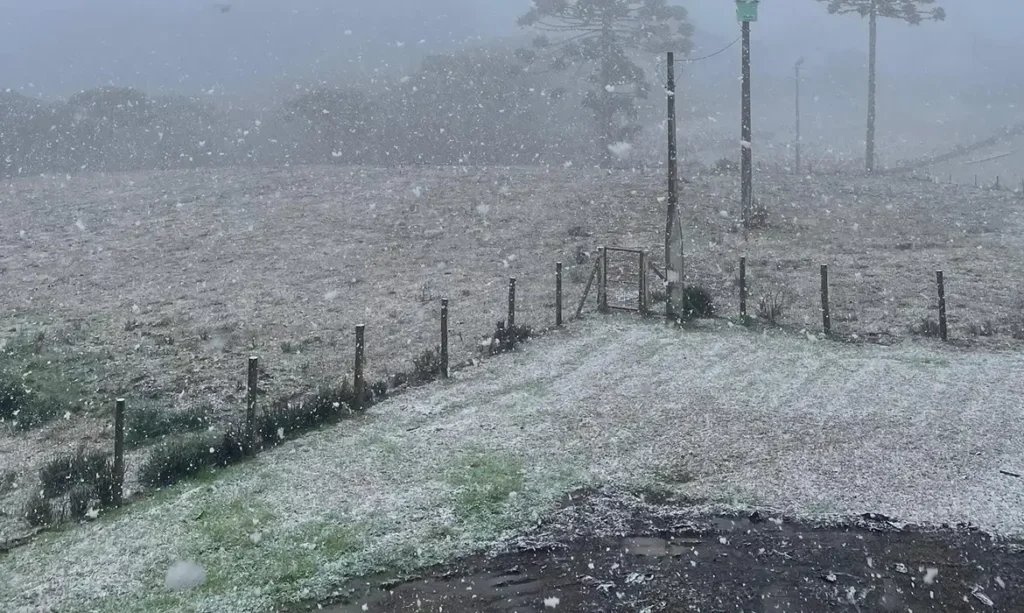 sul-e-sudeste-comecam-semana-com-frio-neve-brasil-ha-fortes-chances-de-geada-em-parana-santa-catarina-e-rio-grande-do-sul-foto:-milena-velho-amaral-divulgacao-tvt-news
