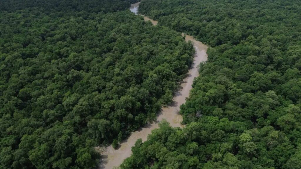 programacao-do-dia-da-amazonia-mobiliza-para-cop30-existem-inumeras-amazonias-dentro-da-amazonia-dizem-movimentos-foto-fernando-frazao-agenciabrasil-tvt-news