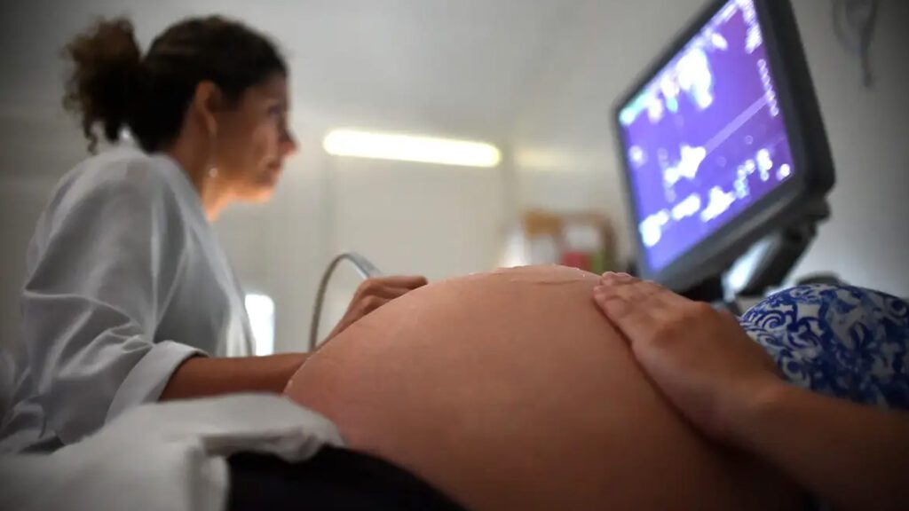 anvisa-nao-ha-registros-relacionem-paracetamol-autismo-andre-borges-agencia-brasilia-tvt-news