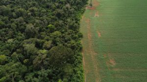 cop30-brasil-apresenta-solucoes-financiamento-climatico-nova-york-fernando-frazao-agencia-brasil-tvt-news