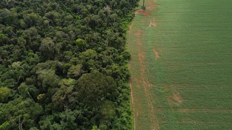 brasil-apresenta-solucoes-financiamento-climatico-nova-york-fernando-frazao-agencia-brasil-tvt-news