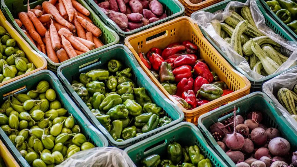 queda-preco-alimentos-vai-permanecer-ministro-rafa-neddermeyer-agencia-brasil-tvt-news