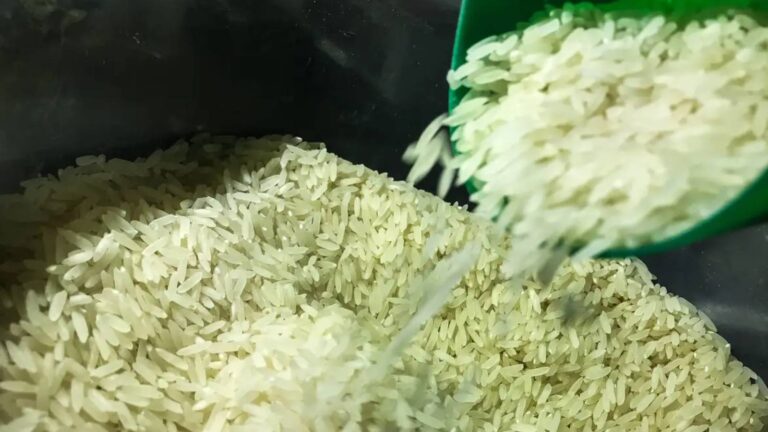 conab-anuncia-r-300-milhoes-para-apoiar-produtores-de-arroz-e-a-mao-amiga-do-governo-federal-disse-edegar-pretto-foto-marcello-casal-jr-agenciabrasil-tvt-news