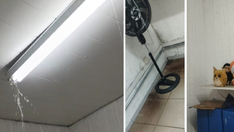 conselhos-tutelares-sao-paulo-sofrem-estrutura-tvt-news