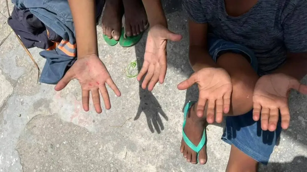 trabalho-infantil-no-pais-cai-21-4-em-oito-anos-nao-foi-uma-variacao-muito-acentuada-alerta-analista-do-ibge-foto-divulgacao-mte-tvt-news
